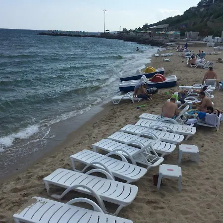 Holiday Sea And Fun