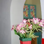 Ferienhaus Holiday Sea And Fun Odessa